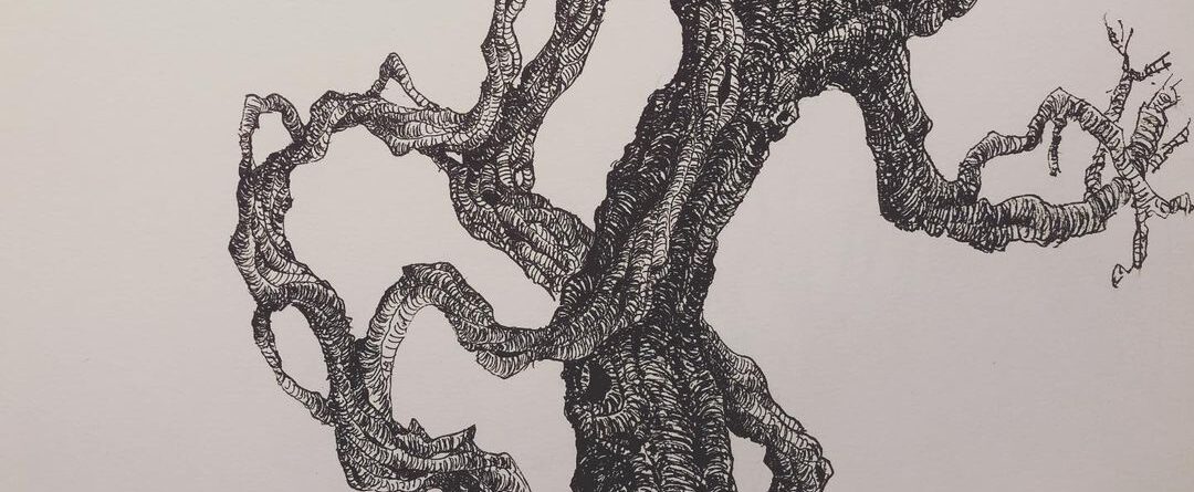 Ink Pen drawing . I am inspired by trees with character. If we treat nature like…