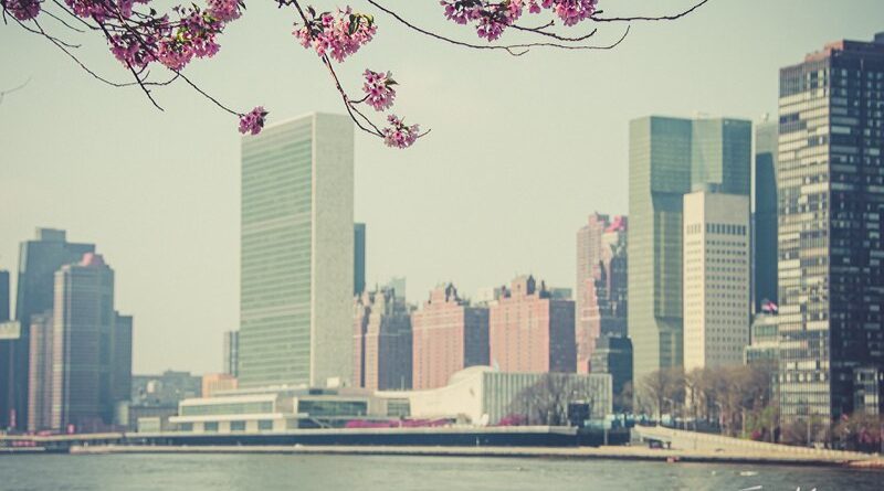 Spring in New York. 
.
.
#rooseveltisland #unitednations #nyc #newyorkcity #eart…