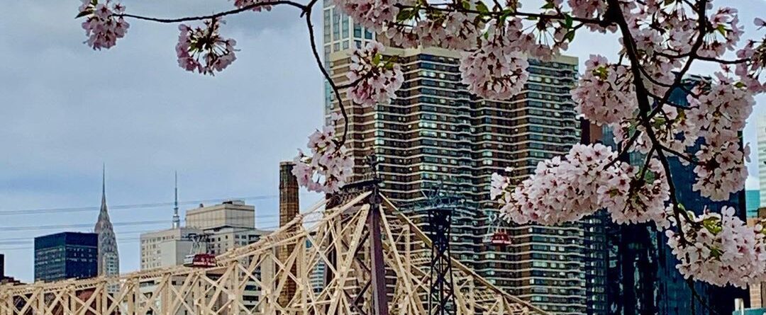 Essa vista… 

#rooseveltisland #newyorkcity #newyork_instagram #newyorker #ny …