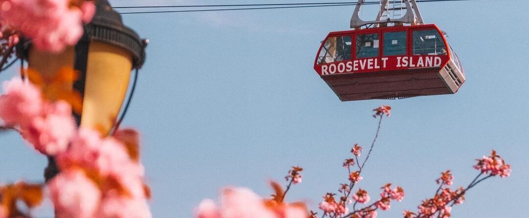 Roosevelt Island  #rooseveltisland #blossom #cherryblossom #blossoms #blossomwat…