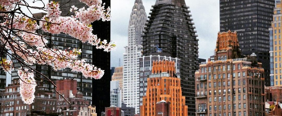 #newyorkcity #spring #cherryblossom #manhattan #rooseveltisland #midtown #chrysl…