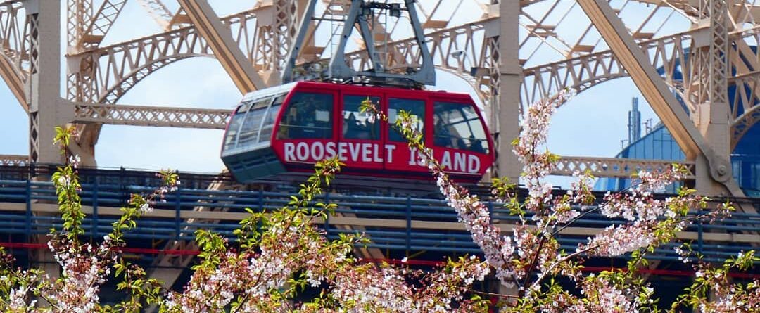 Cherry Blossom over Roosevelt Island!

#rooseveltisland #cherryblossom #springti…