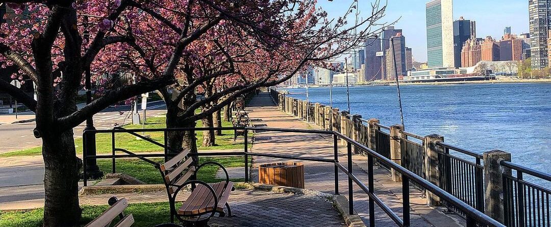 Manhattan & Roosevelt Island
.
.
.
.
.
.
.
.
.
#rooseveltisland #manhattannyc #n…