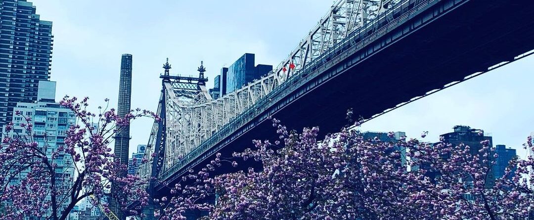 #edkochqueensborobridge #rooseveltisland #newyork #newyorkcity #newyorklovers #n…