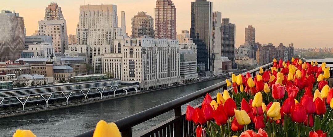 Rooftop sunsets at River Walk, Roosevelt Island. 

@related_rentals @therelatedl…