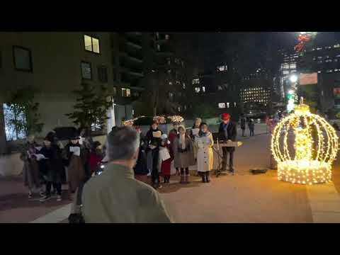 Roosevelt Islander Online: Take A Walk Along The Roosevelt Island Holiday Trail, Watch The Tree Lit Up And Listen To Some Wonderful Carols Performed By The Main Street Theatre And Dance Alliance From The Warm Comfort Of Your Home