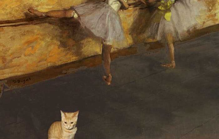 A Lonely Kitten Sneaks Into the Ballet Class