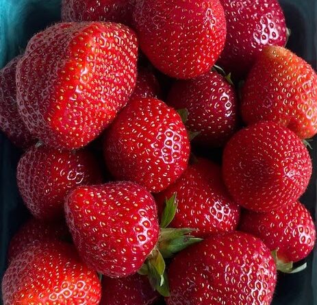 Roosevelt Islander Online: Sponsored Post – Stop By The Roosevelt Island Saturday Farmers Market Tomorrow For Delicious Tasting Local Homegrown Summertime Strawberries, Sweet Juicy Peaches Plus Many Other Local Fruits And Vegetables In Season