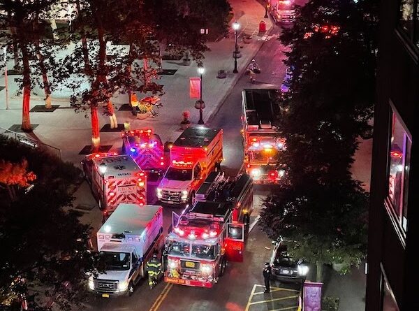 Roosevelt Islander Online: “Lights Woke Us Up. Lots Of Fire Engines And Ambulances” Says Roosevelt Island Resident, FDNY Responds To Early Morning Fire At Riverwalk Park Today